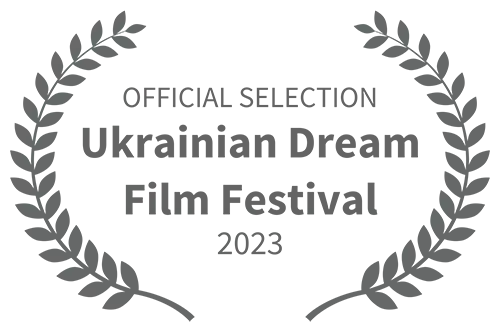 Best social video project award at international festival